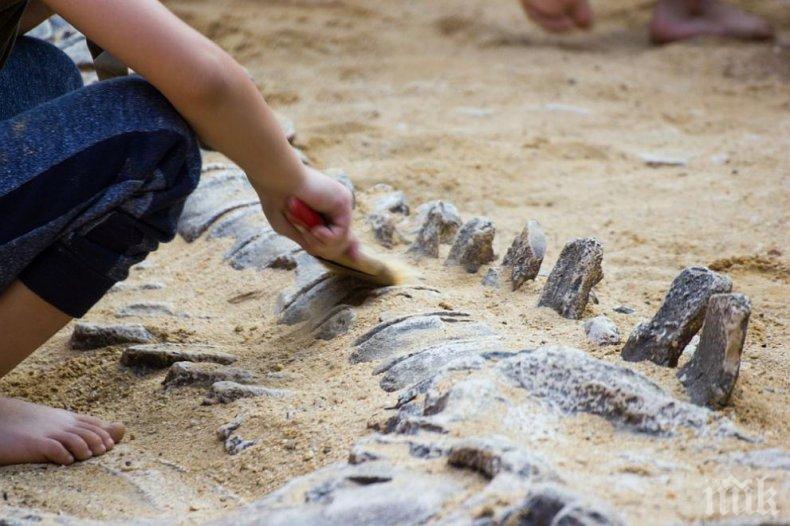 Японски учени откриха неизвестен динозавър