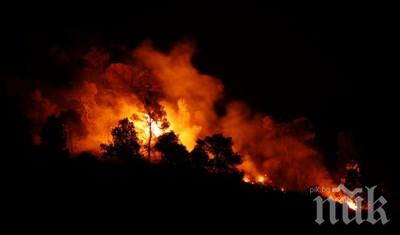 Нов пожар поглъща остров Евия