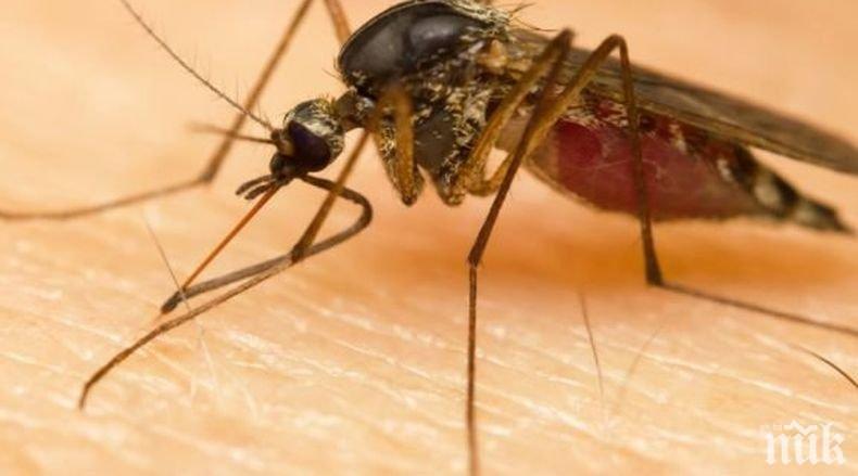 Болест от комари тръшна земеделския министър на Непал 
