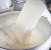 В Китай похапват българско кисело мляко и сирене