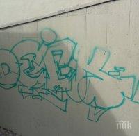 Пипнаха вандали, нашарили подлез в Пловдив Пипнаха вандали, нашарили подлез в Пловдив