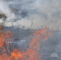 Пожар избухна в района на Сухото езеро в Рила