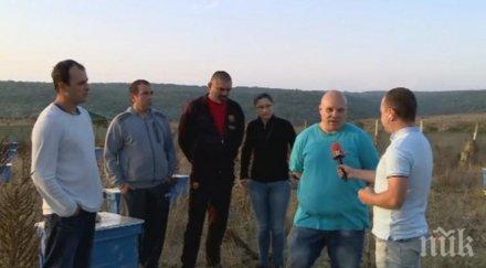 пчеларите варненско излизат протест