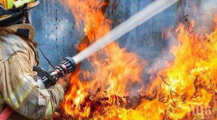 пожар силен вятър запали църквата давидково