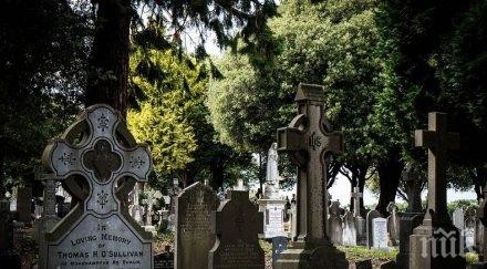 горещи страсти ирландска двойка награби насред гробище видео