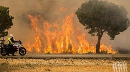 гори вилната зона долно вършило засегнати къщи