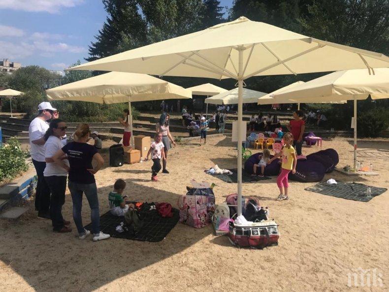 Скандал в зоологическата градина между международна компания и родители 