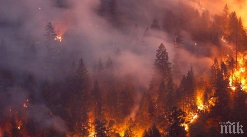Голям горски пожар избухна на гръцкия остров Кефалония