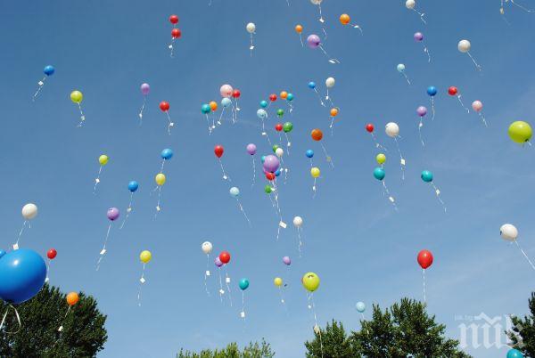 ПЪЛНО КУКУ: Зелените в Долна Саксония забраняват балоните