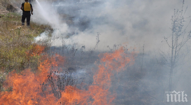 Пожар избухна в района на Сухото езеро в Рила