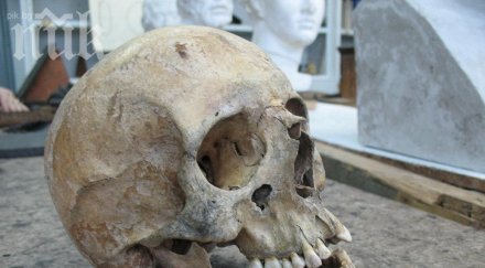 австриец събрал колекция човешки черепа отнася глоба