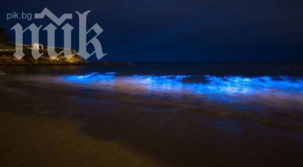 намериха трупа издирван водолаз