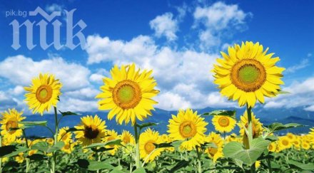 очаква топъл слънчев ден