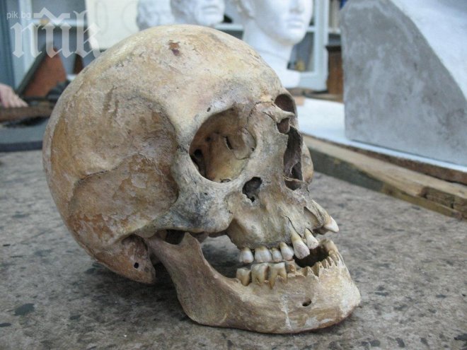 Австриец, събрал колекция от 55 човешки черепа, отнася глоба