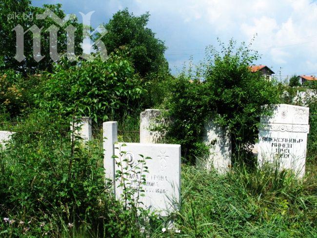 Почистват гробищата във Велико Търново