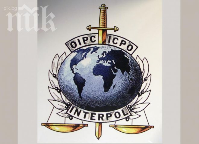 24 милиона фалшиви стоки иззети за два месеца от Интерпол 