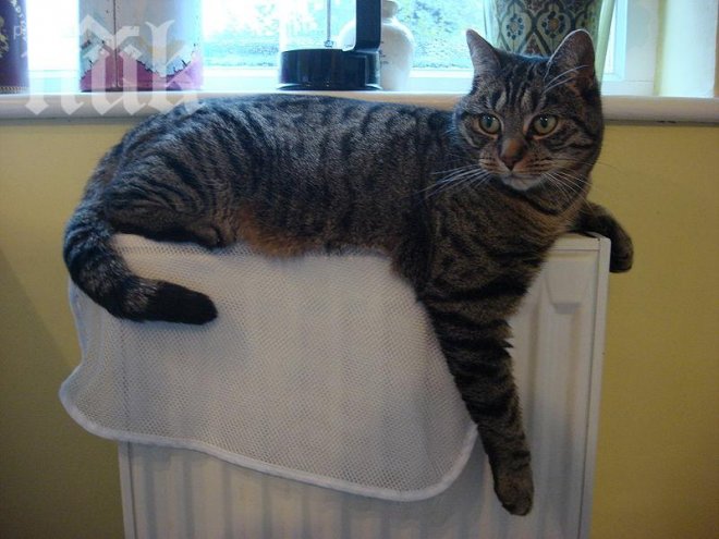 Решават съдбите ни с цените за ток и парно