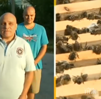 Пчелари на бунт, искат затвор за пръскането с пестициди