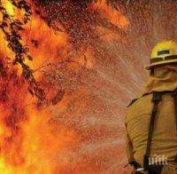 ОГНЕН УЖАС: Пожар изпепели къщи в село над Благоевград