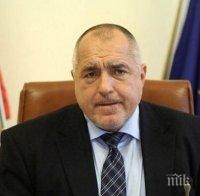 Бойко Борисов. ПИК. Бивол