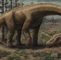 Учени разгадаха как са преживели последните си дни динозаврите