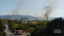 СТИХИЯ: Пожар пламна край Горубляне