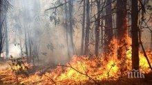 Пенсионер запали 100 декара треви, варил си буркани