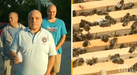 пчелари бунт искат затвор пръскането пестициди