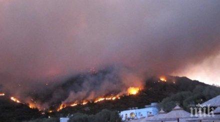 пожар гори остров закинтос пламъците обхванали жилища