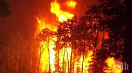 пожара горят страната