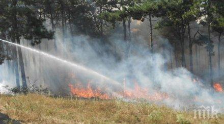 огнен стотици декари треви храсти изгоряха бургас
