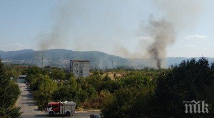 стихия пожар пламна горубляне