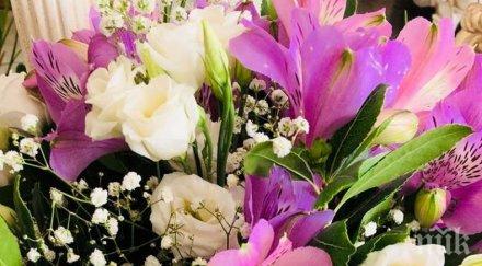 благородно учители пазарджик отказват букети помагат болен ученик