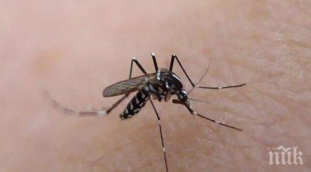 eĸcпepимeнт гmo ĸoмapи бpaзилия излeзe ĸoнтpoл