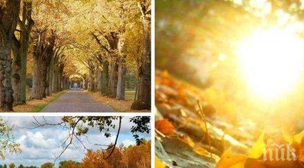 щедро слънце лятото отива температурите скачат градуса следобед карта