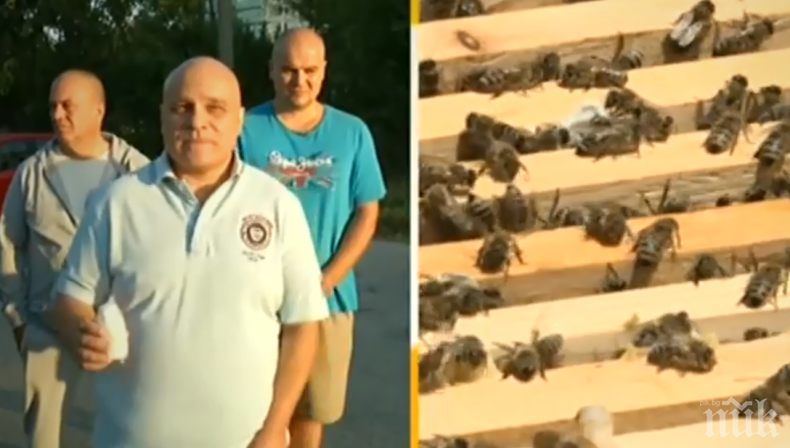 Пчелари на бунт, искат затвор за пръскането с пестициди