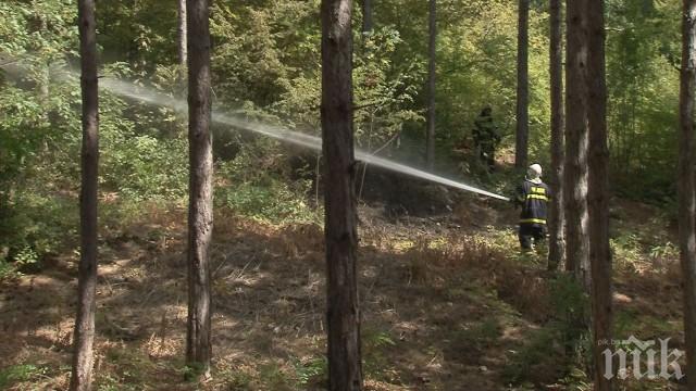 Голям пожар край Варна