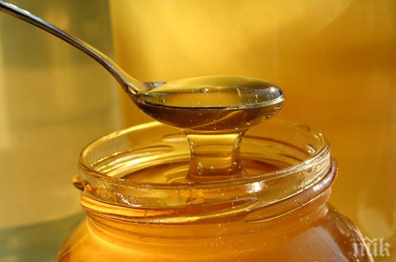 ВНИМАНИЕ: Внасяме мед с пестициди от Южна Америка