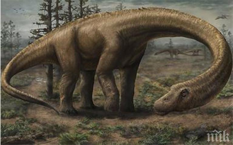 Учени разгадаха как са преживели последните си дни динозаврите