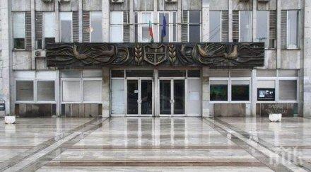 община видин отново включи европейската седмица мобилността снимка