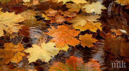 настъпи астрономическата есен