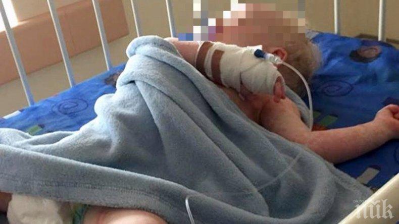 Момиченцето, което падна от 2-рия етаж в Пловдив, се стабилизира. Пияните родители още не са обвинени