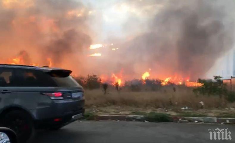 ОТ ПОСЛЕДНИТЕ МИНУТИ: Пожарът край летището в София е овладян