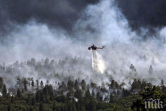Пожарът на остров Закинтос изпепелил над 700 хектара земя