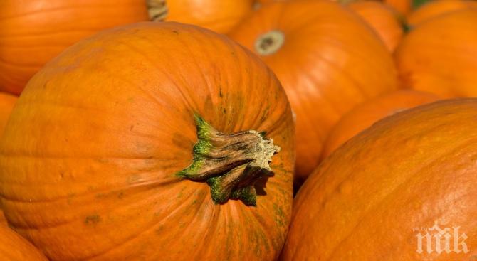 Търсят с конкурс най-тежката тиква в Търговищко