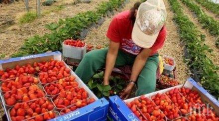 проверяват деца роби кърджали