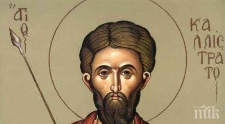 божествено чудо озверели неверници хвърлили морето необикновен светец два делфина изнесли жив брега