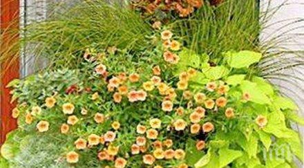 звездите говорят внимавайте картинката връхлитат конфликти лошо настроение възможни материални загуби