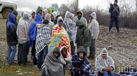 мвр акция разбиха канал мигранти гърция задържани организаторът петима български граждани