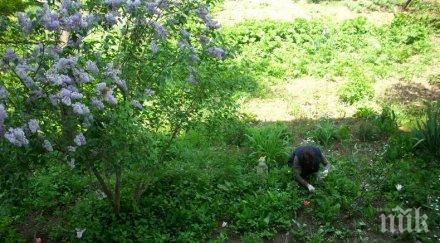 опасна страст британка остана без крака пръсти ръцете